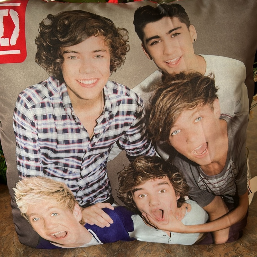 One Direction Picture Perfect Decorative Pillow - Picture 7 of 7